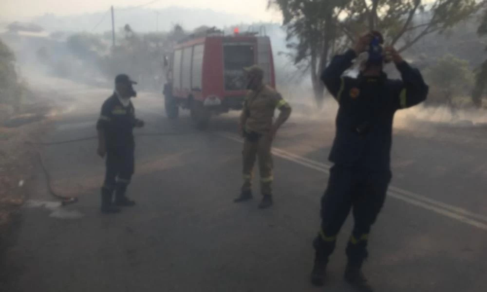Μεσσηνία: Μεγάλη φωτιά στη Σκάλα στην περιοχή του Μελιγαλά